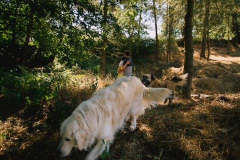 fotografos boda lugo, cedeira, silleda